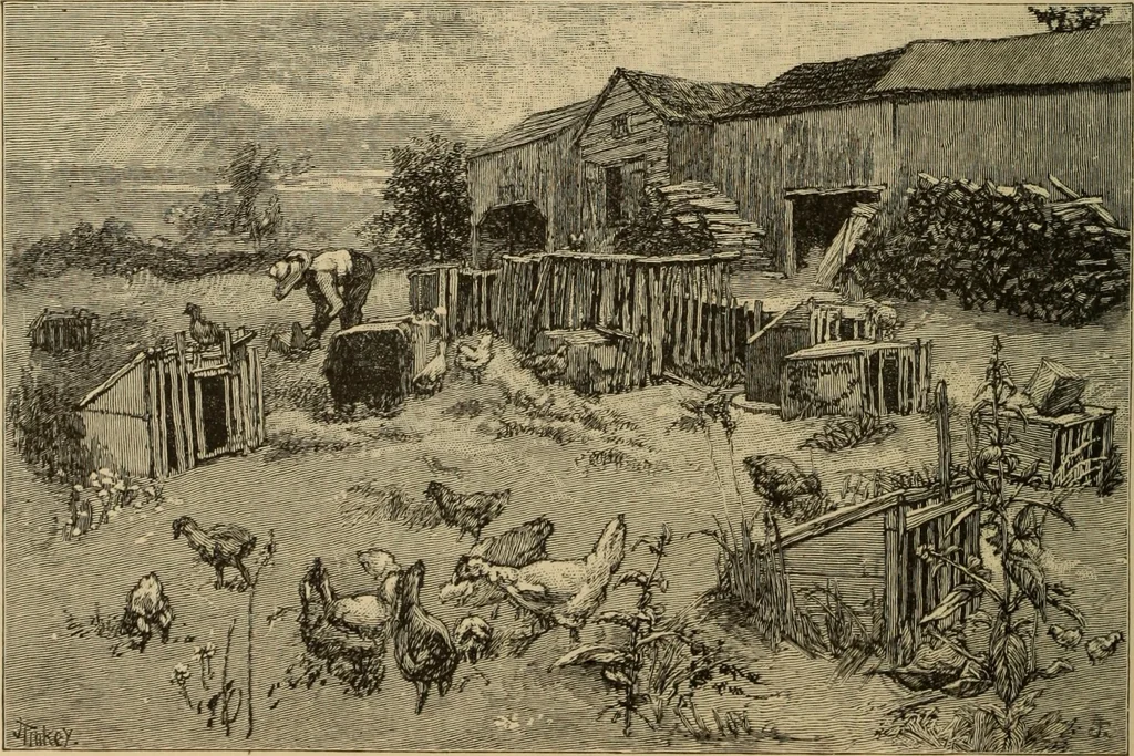 An illustration from The boy travellers in southern Europe : adventures of two youths in a journey through Italy, southern France, and Spain, with visits to Gibraltar and the islands of Sicily and Malta, 1893, leaf 237
