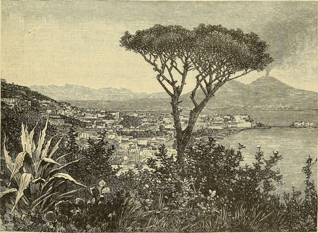An illustration from The boy travellers in southern Europe : adventures of two youths in a journey through Italy, southern France, and Spain, with visits to Gibraltar and the islands of Sicily and Malta, 1893, leaf 340