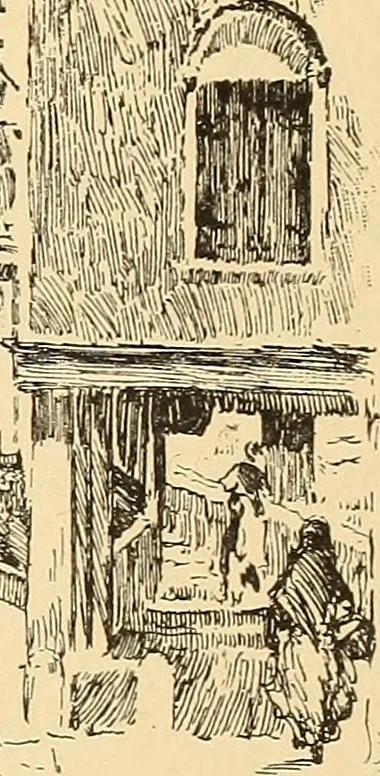 An illustration from The boy travellers in southern Europe : adventures of two youths in a journey through Italy, southern France, and Spain, with visits to Gibraltar and the islands of Sicily and Malta, 1893, leaf 38