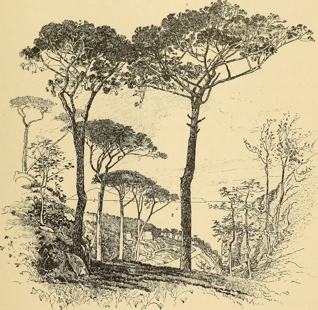An illustration from The boy travellers in southern Europe : adventures of two youths in a journey through Italy, southern France, and Spain, with visits to Gibraltar and the islands of Sicily and Malta, 1893, leaf 410