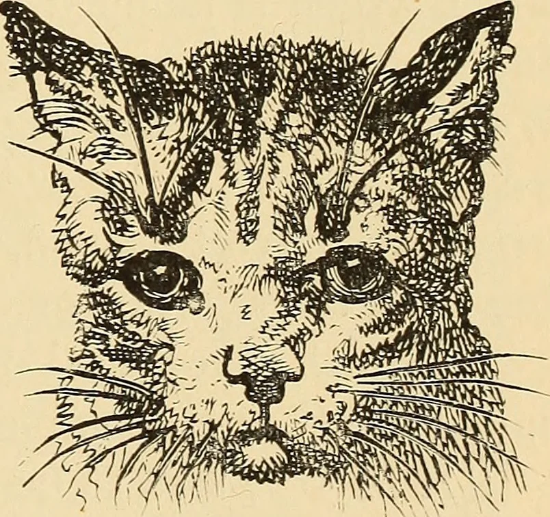 An illustration from The boy travellers in southern Europe : adventures of two youths in a journey through Italy, southern France, and Spain, with visits to Gibraltar and the islands of Sicily and Malta, 1893, leaf 446