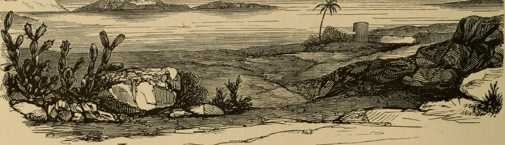 An illustration from The boy travellers in southern Europe : adventures of two youths in a journey through Italy, southern France, and Spain, with visits to Gibraltar and the islands of Sicily and Malta, 1893, leaf 457