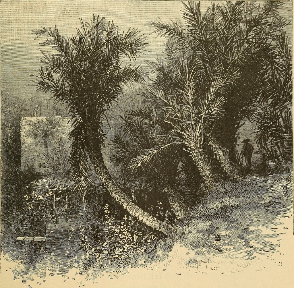 An illustration from The boy travellers in southern Europe : adventures of two youths in a journey through Italy, southern France, and Spain, with visits to Gibraltar and the islands of Sicily and Malta, 1893, leaf 466