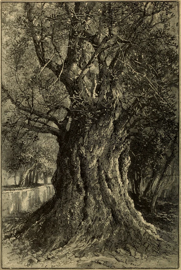 An illustration from The boy travellers in southern Europe : adventures of two youths in a journey through Italy, southern France, and Spain, with visits to Gibraltar and the islands of Sicily and Malta, 1893, leaf 473