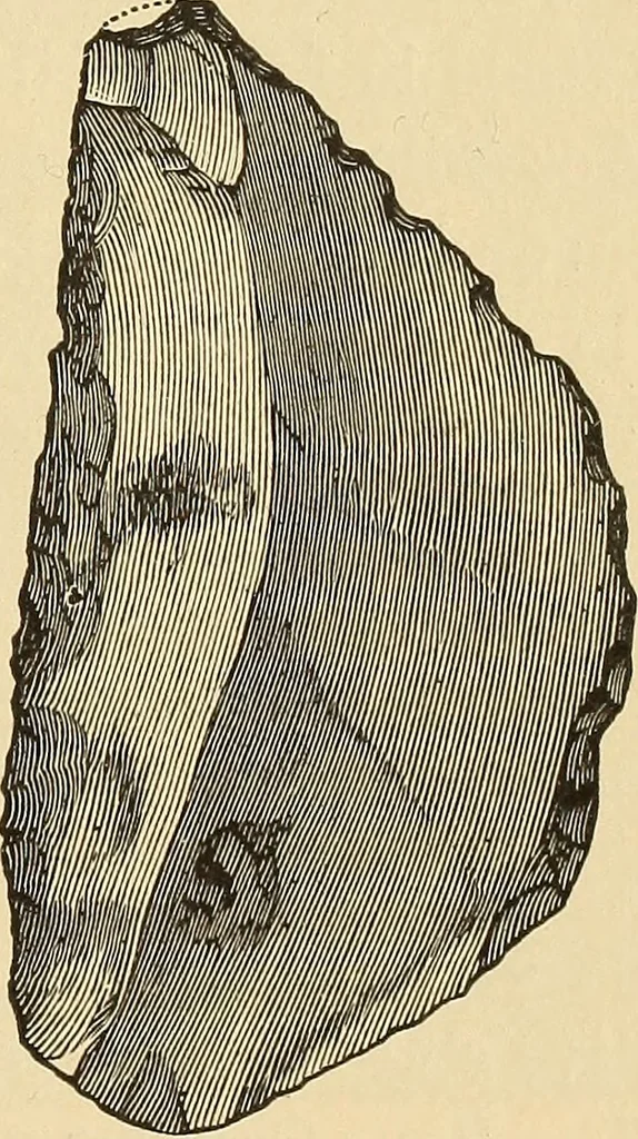 An illustration from The boy travellers in southern Europe : adventures of two youths in a journey through Italy, southern France, and Spain, with visits to Gibraltar and the islands of Sicily and Malta, 1893, leaf 478