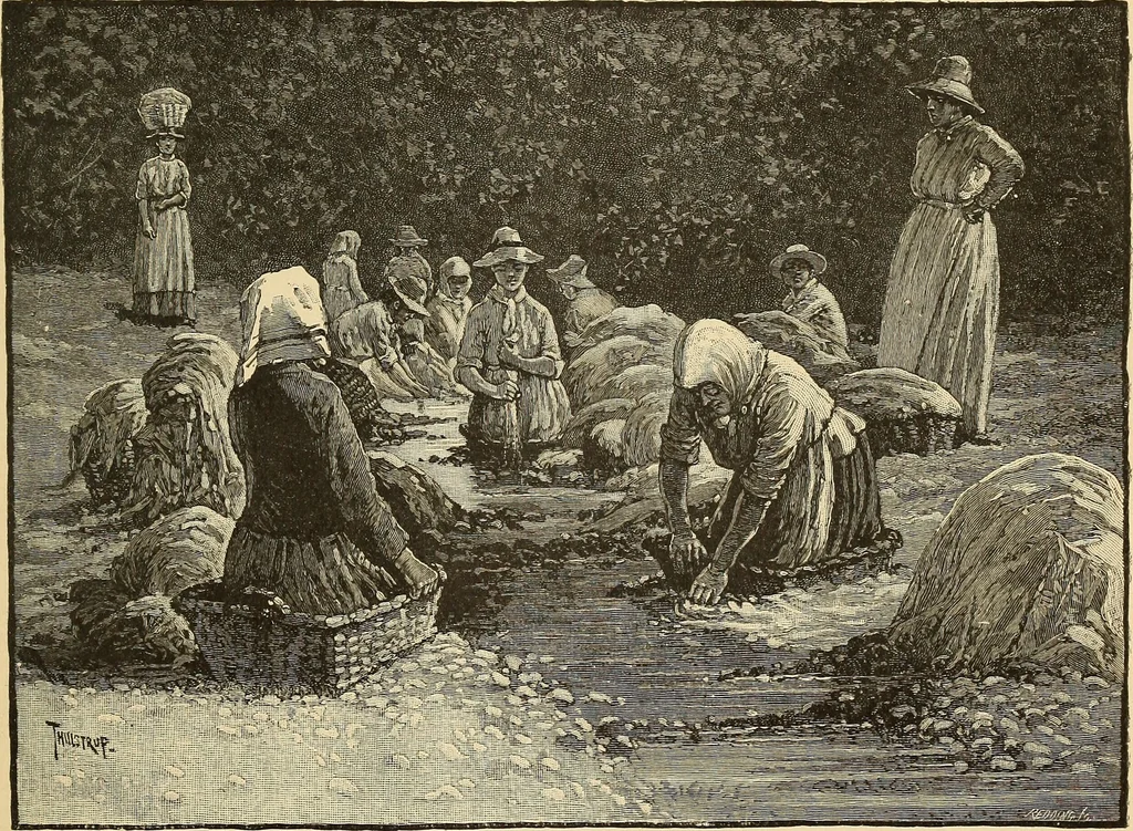 An illustration from The boy travellers in southern Europe : adventures of two youths in a journey through Italy, southern France, and Spain, with visits to Gibraltar and the islands of Sicily and Malta, 1893, leaf 480