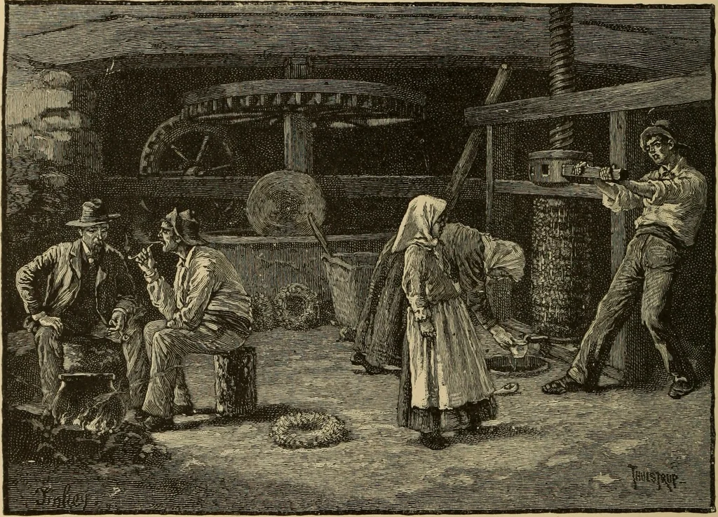 An illustration from The boy travellers in southern Europe : adventures of two youths in a journey through Italy, southern France, and Spain, with visits to Gibraltar and the islands of Sicily and Malta, 1893, leaf 483