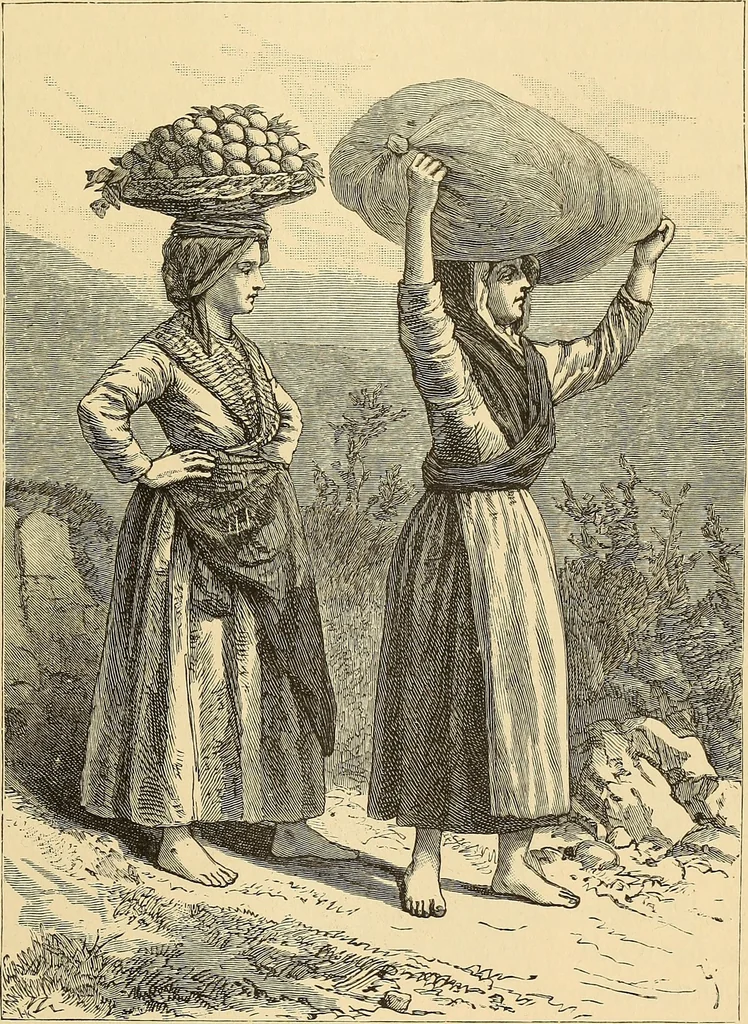 An illustration from The boy travellers in southern Europe : adventures of two youths in a journey through Italy, southern France, and Spain, with visits to Gibraltar and the islands of Sicily and Malta, 1893, leaf 486