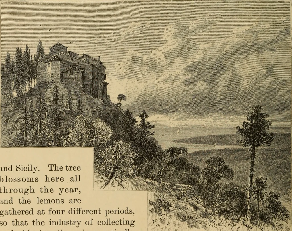 An illustration from The boy travellers in southern Europe : adventures of two youths in a journey through Italy, southern France, and Spain, with visits to Gibraltar and the islands of Sicily and Malta, 1893, leaf 487