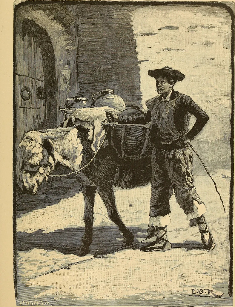 An illustration from The boy travellers in southern Europe : adventures of two youths in a journey through Italy, southern France, and Spain, with visits to Gibraltar and the islands of Sicily and Malta, 1893, leaf 536
