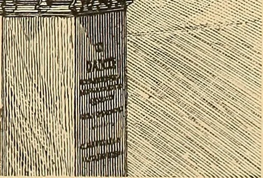 An illustration from The boy travellers in southern Europe : adventures of two youths in a journey through Italy, southern France, and Spain, with visits to Gibraltar and the islands of Sicily and Malta, 1893, leaf 82