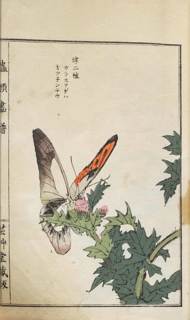 An illustration from Chūrui gafu / [chosha, Morimoto Tōkō], 1910, leaf 10