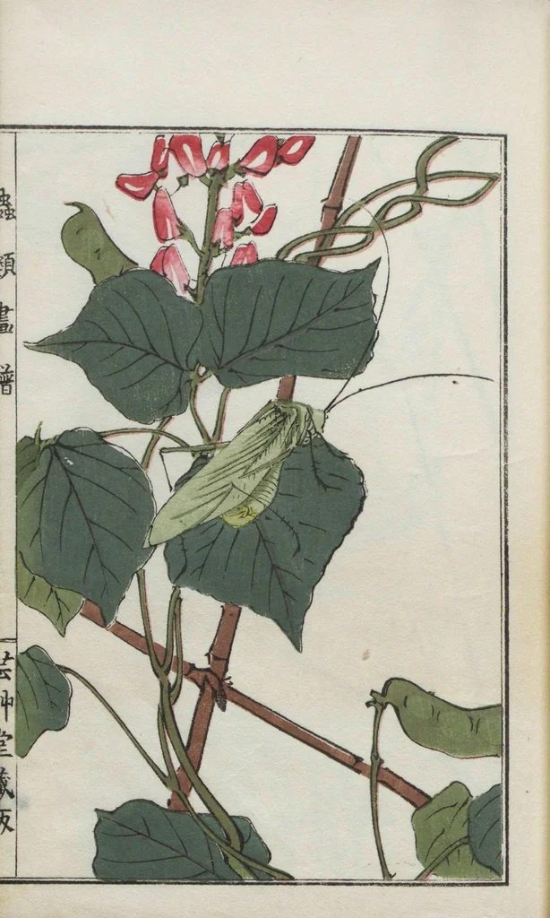 An illustration from Chūrui gafu / [chosha, Morimoto Tōkō], 1910, leaf 12