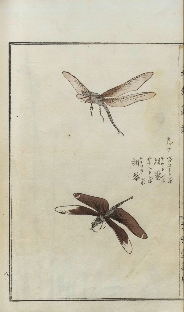 An illustration from Chūrui gafu / [chosha, Morimoto Tōkō], 1910, leaf 15