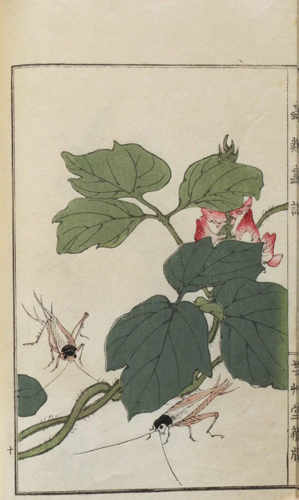 An illustration from Chūrui gafu / [chosha, Morimoto Tōkō], 1910, leaf 19