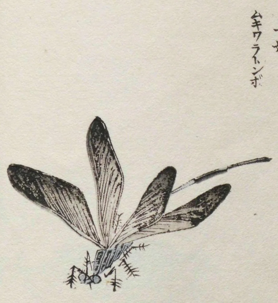 An illustration from Chūrui gafu / [chosha, Morimoto Tōkō], 1910, leaf 23