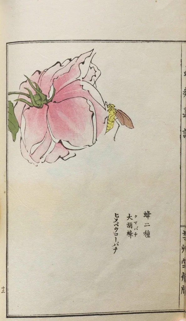 An illustration from Chūrui gafu / [chosha, Morimoto Tōkō], 1910, leaf 25
