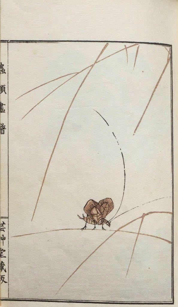 An illustration from Chūrui gafu / [chosha, Morimoto Tōkō], 1910, leaf 28