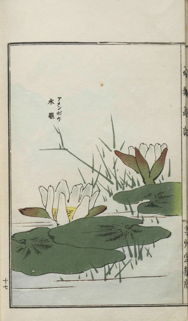 An illustration from Chūrui gafu / [chosha, Morimoto Tōkō], 1910, leaf 33