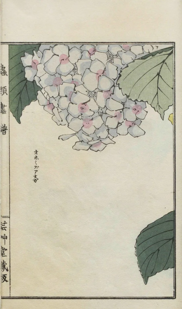 An illustration from Chūrui gafu / [chosha, Morimoto Tōkō], 1910, leaf 40