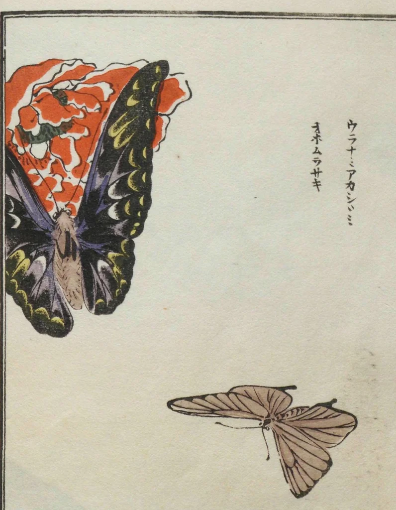 An illustration from Chūrui gafu / [chosha, Morimoto Tōkō], 1910, leaf 43
