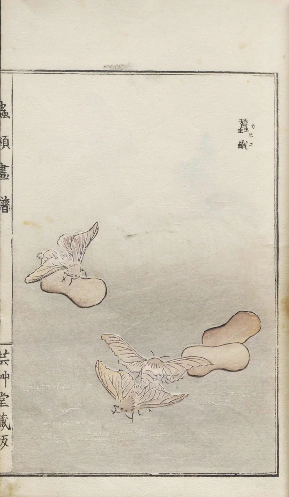 An illustration from Chūrui gafu / [chosha, Morimoto Tōkō], 1910, leaf 6