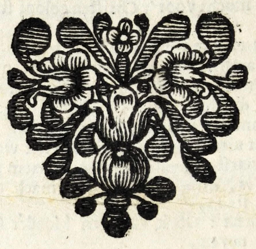 An illustration from Brabbelingh, 1669, leaf 214