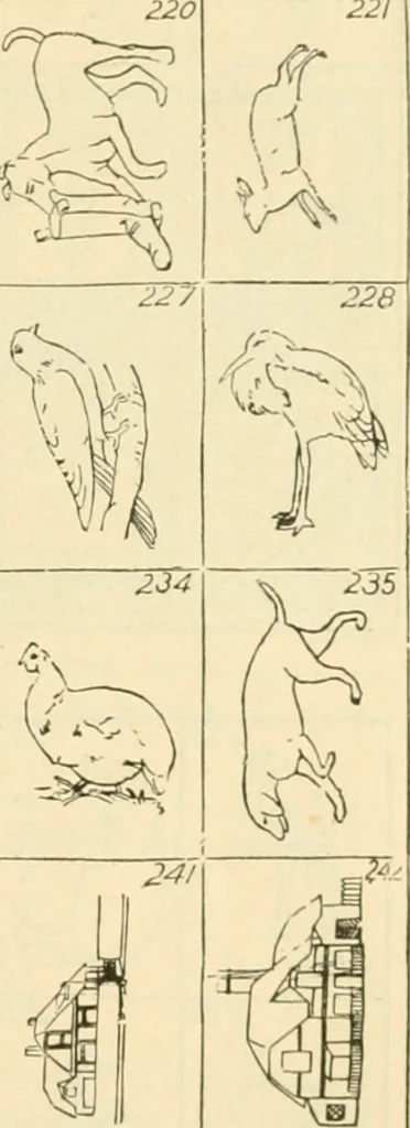 An illustration from Bradley's kindergarten material and school aids., 1896, leaf 24