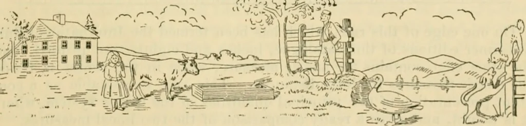 An illustration from Bradley's kindergarten material and school aids., 1896, leaf 56