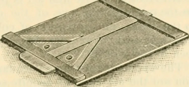 An illustration from Bradley's kindergarten material and school aids., 1896, leaf 62