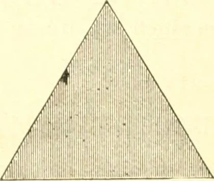 An illustration from Bradley's kindergarten material and school aids., 1896, leaf 7