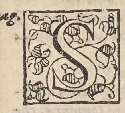 An illustration from Bragatto, comedia molto piacevole et ridicolosa, 1596, leaf 19
