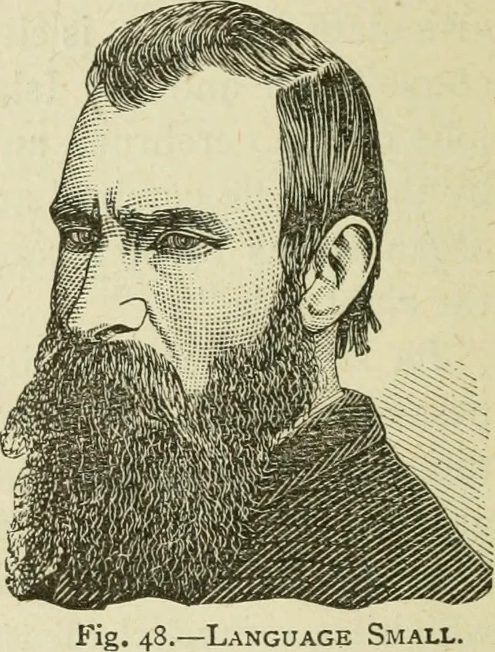 An illustration from Brain and mind; or, Mental science considered in accordance withthe principles of phrenology, and in relation to modern physiology, 1882, leaf 123