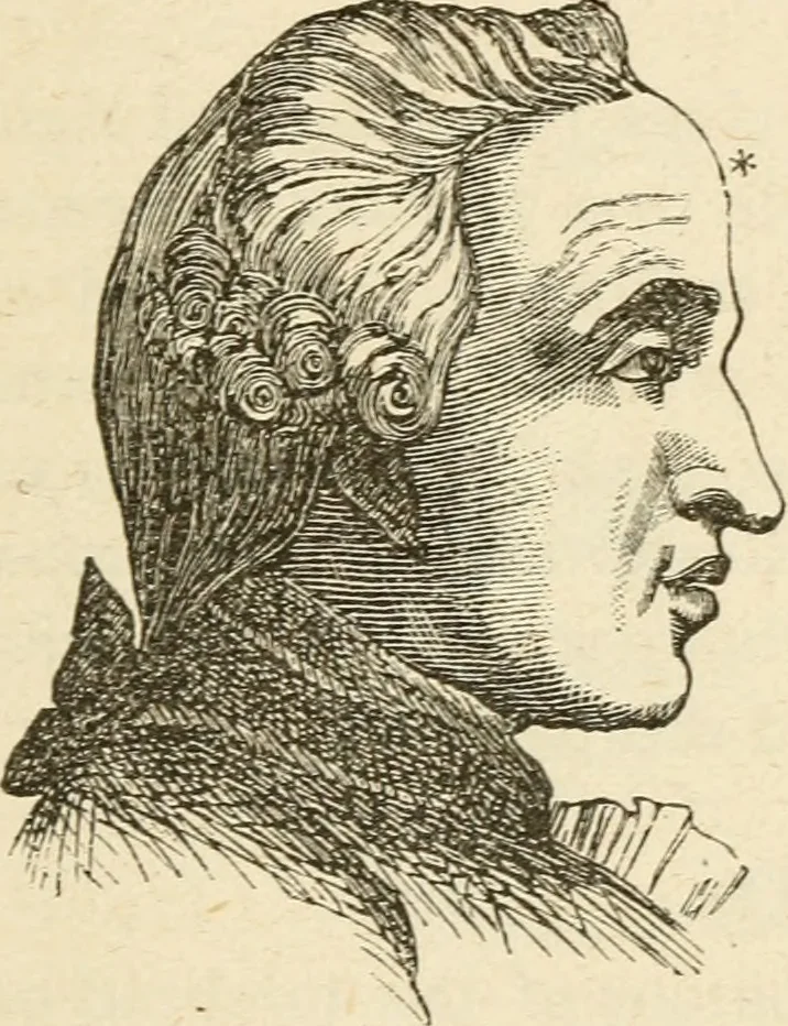 An illustration from Brain and mind; or, Mental science considered in accordance withthe principles of phrenology, and in relation to modern physiology, 1882, leaf 126