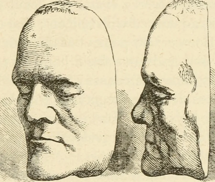 An illustration from Brain and mind; or, Mental science considered in accordance withthe principles of phrenology, and in relation to modern physiology, 1882, leaf 128