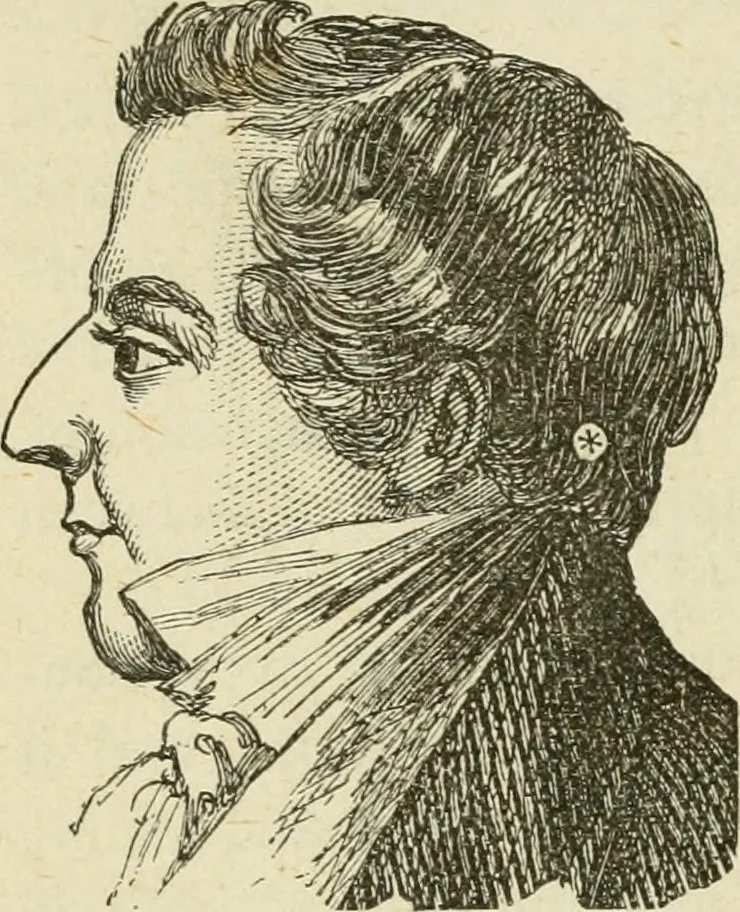 An illustration from Brain and mind; or, Mental science considered in accordance withthe principles of phrenology, and in relation to modern physiology, 1882, leaf 147