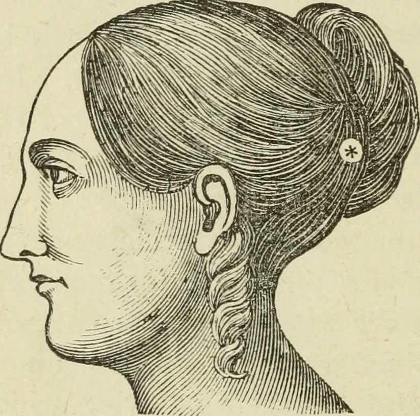 An illustration from Brain and mind; or, Mental science considered in accordance withthe principles of phrenology, and in relation to modern physiology, 1882, leaf 149