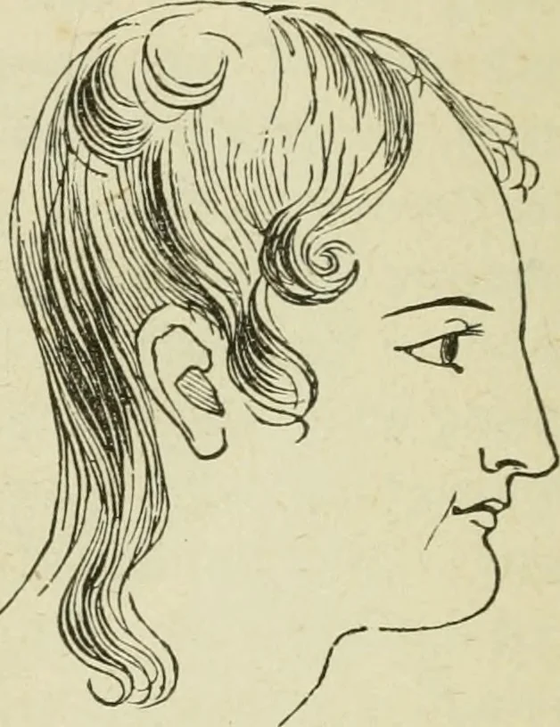 An illustration from Brain and mind; or, Mental science considered in accordance withthe principles of phrenology, and in relation to modern physiology, 1882, leaf 149