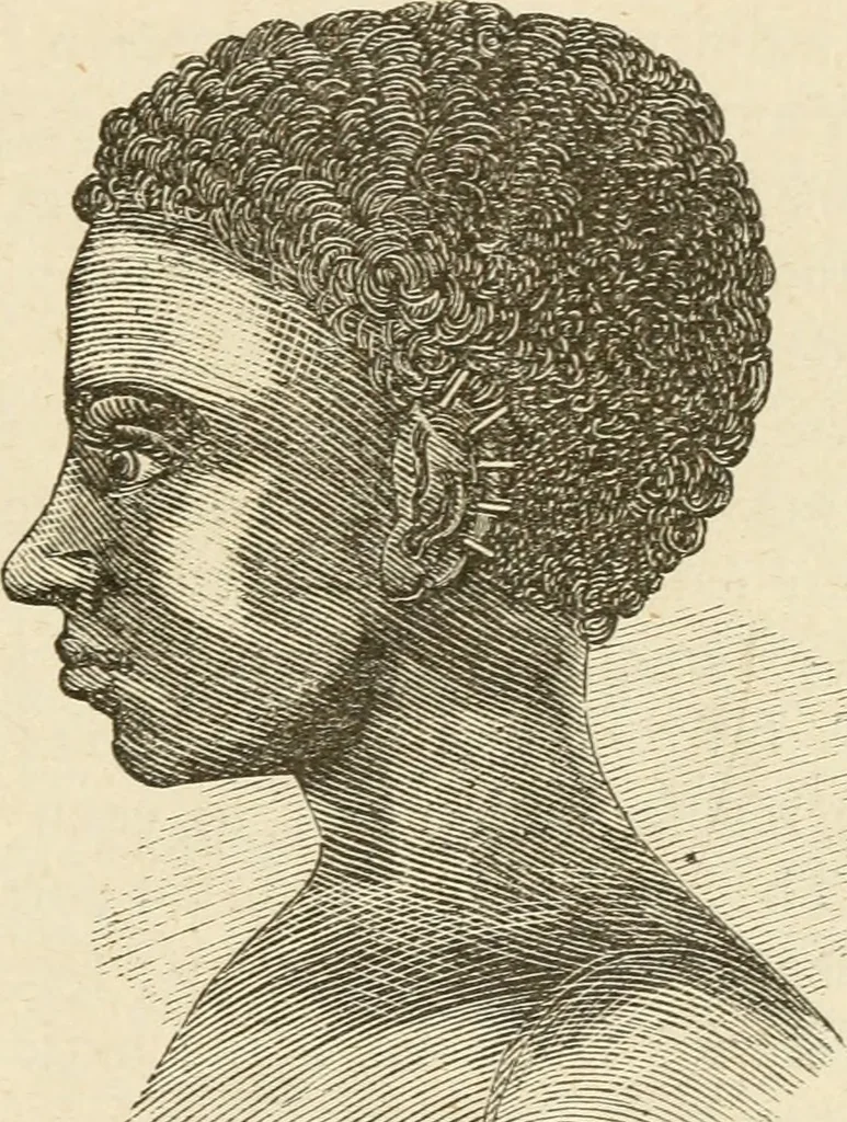 An illustration from Brain and mind; or, Mental science considered in accordance withthe principles of phrenology, and in relation to modern physiology, 1882, leaf 150