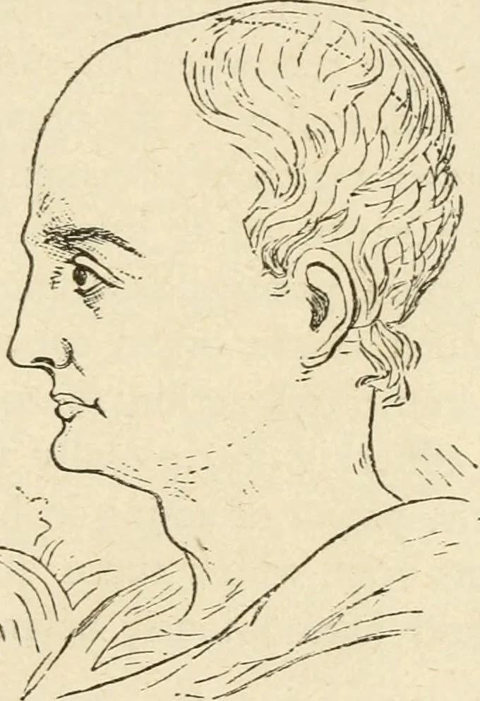 An illustration from Brain and mind; or, Mental science considered in accordance withthe principles of phrenology, and in relation to modern physiology, 1882, leaf 158