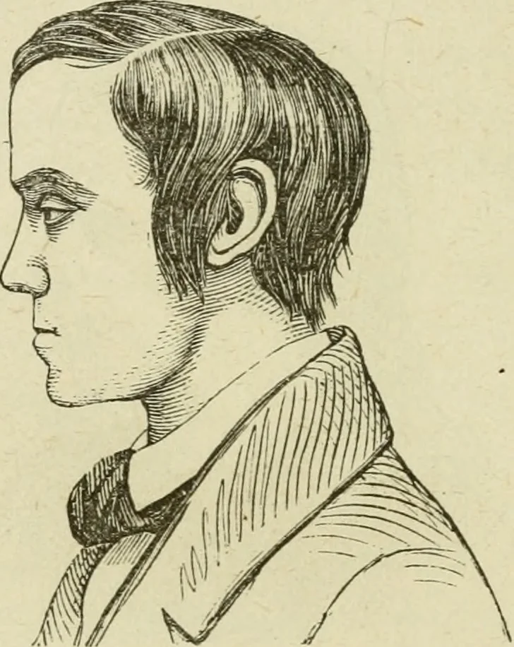 An illustration from Brain and mind; or, Mental science considered in accordance withthe principles of phrenology, and in relation to modern physiology, 1882, leaf 171