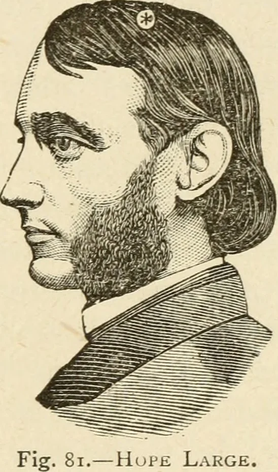 An illustration from Brain and mind; or, Mental science considered in accordance withthe principles of phrenology, and in relation to modern physiology, 1882, leaf 182