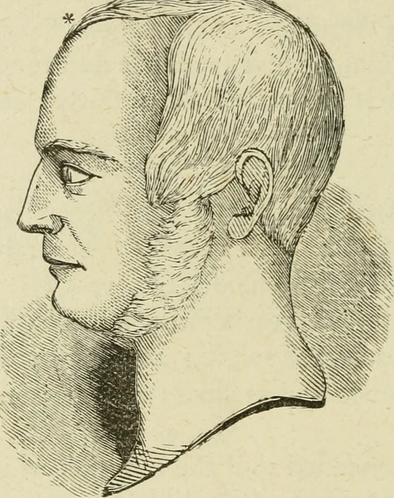 An illustration from Brain and mind; or, Mental science considered in accordance withthe principles of phrenology, and in relation to modern physiology, 1882, leaf 199