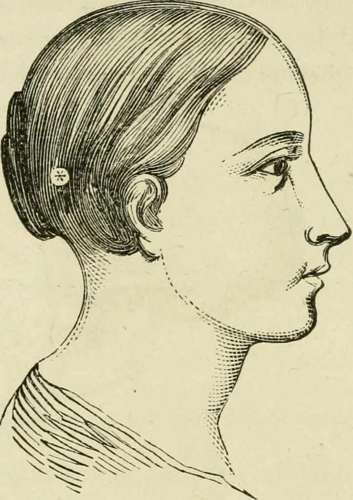 An illustration from Brain and mind; or, Mental science considered in accordance withthe principles of phrenology, and in relation to modern physiology, 1882, leaf 205