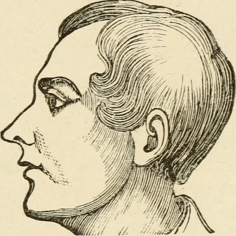 An illustration from Brain and mind; or, Mental science considered in accordance withthe principles of phrenology, and in relation to modern physiology, 1882, leaf 206