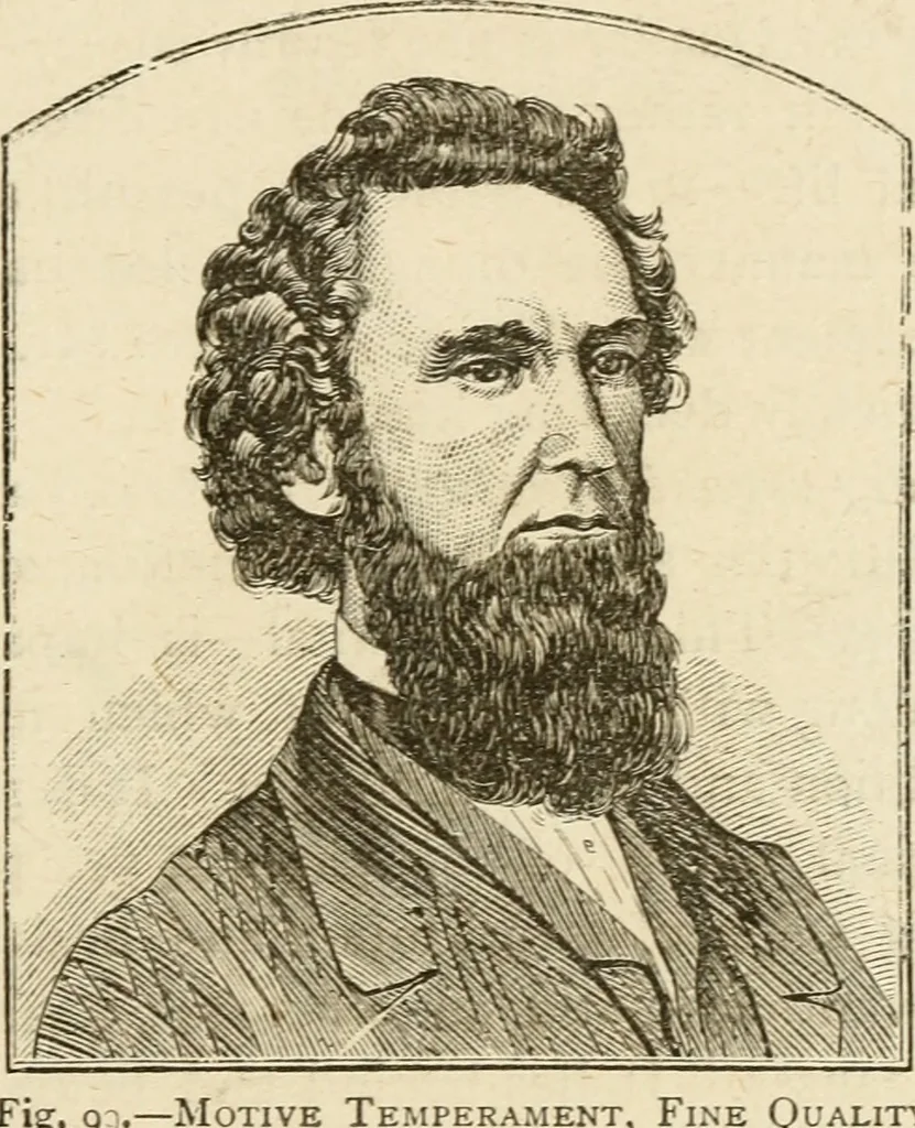 An illustration from Brain and mind; or, Mental science considered in accordance withthe principles of phrenology, and in relation to modern physiology, 1882, leaf 212