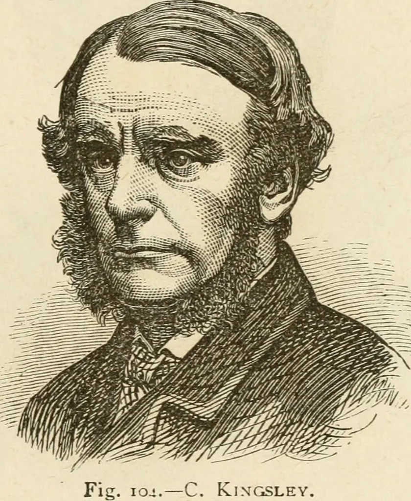 An illustration from Brain and mind; or, Mental science considered in accordance withthe principles of phrenology, and in relation to modern physiology, 1882, leaf 218