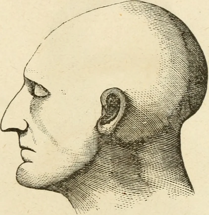 An illustration from Brain and mind; or, Mental science considered in accordance withthe principles of phrenology, and in relation to modern physiology, 1882, leaf 220