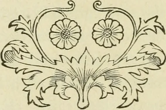 An illustration from Brain and mind; or, Mental science considered in accordance withthe principles of phrenology, and in relation to modern physiology, 1882, leaf 75