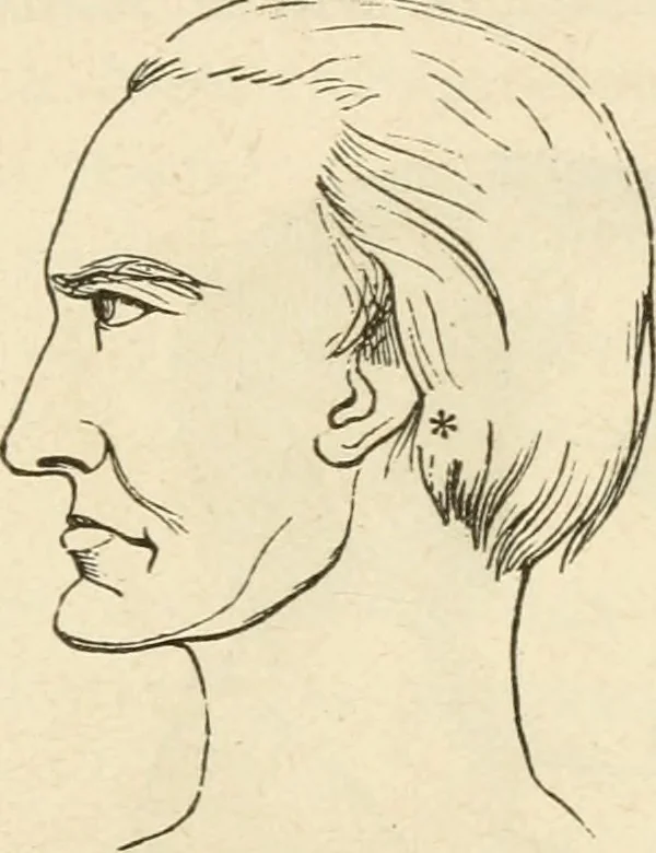 An illustration from Brain and mind; or, Mental science considered in accordance withthe principles of phrenology, and in relation to modern physiology, 1882, leaf 78